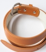 Ceinture